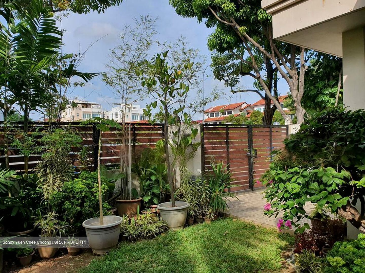 Bedok Road (D16), Terrace #458898691